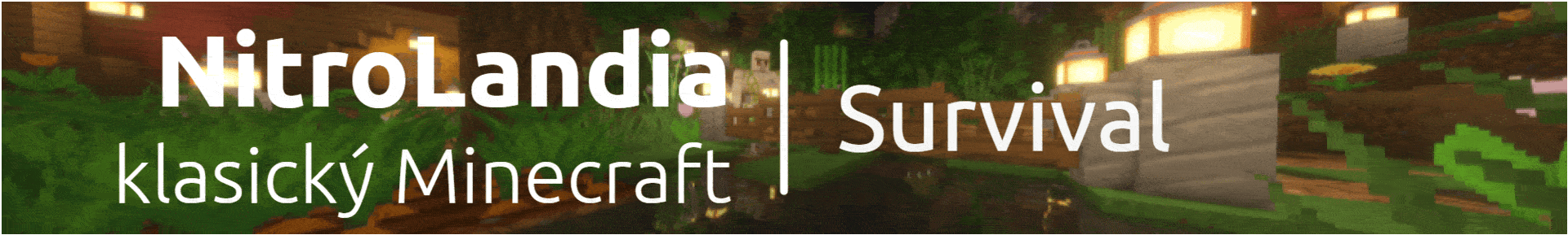 server_image_1273