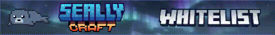 server_image_2407